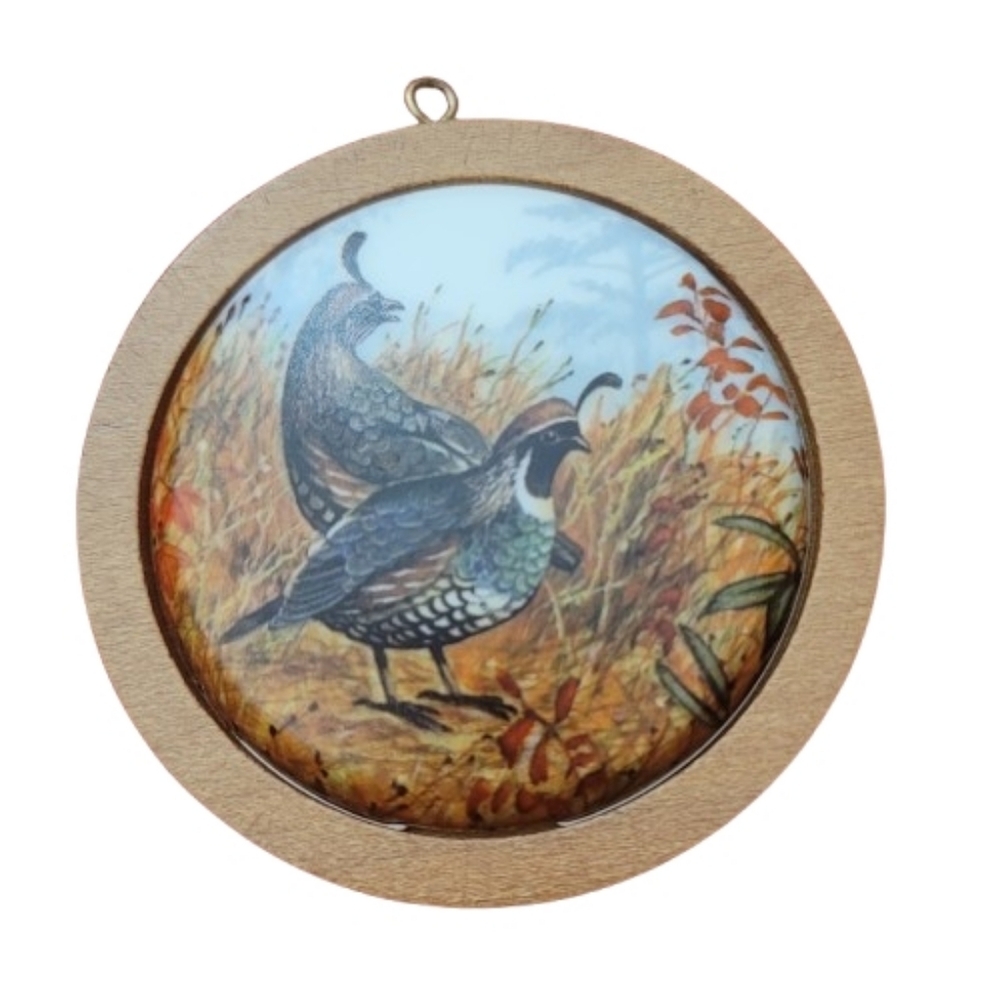 Hallmark Keepsake Ornament - California Partridge 1985 in Green Box